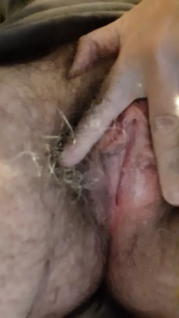 Hairy Pussy Venusargo