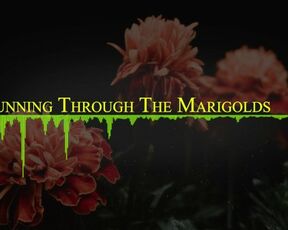 Running Through the Marigolds (Official Music Video).