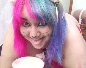 Chubby Kitty Girl Licks Milk